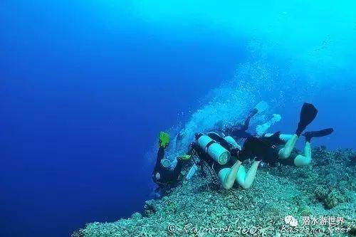 涪陵召开家庭教育工作总结暨业务培训会
